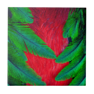 desenho de pena de Quetzal Resplandecente