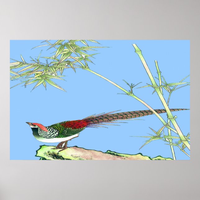 Desenho de poster de Pheasant Permanente 7 (Frente)