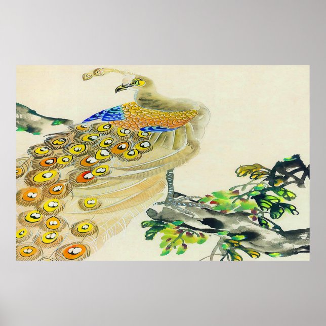 Desenho de poster Pavock Permanente 1 (Frente)