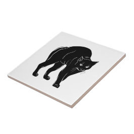 Desenho de Silhueta de Gato Preto à Espera do Hall