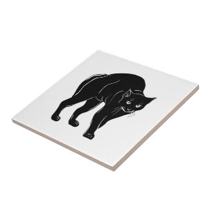 Desenho de Silhueta de Gato Preto à Espera do Hall