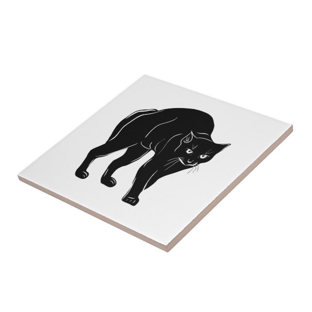 Desenho de Silhueta de Gato Preto à Espera do Hall (Lateral)