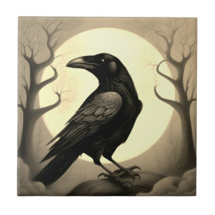 Desenho de um corvo preto