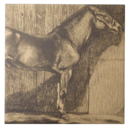 Desenho de um Pony (por Paul-Albert Besnard)