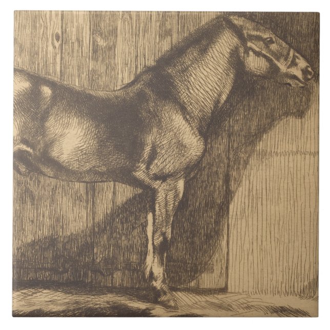 Desenho de um Pony (por Paul-Albert Besnard) (Frente)