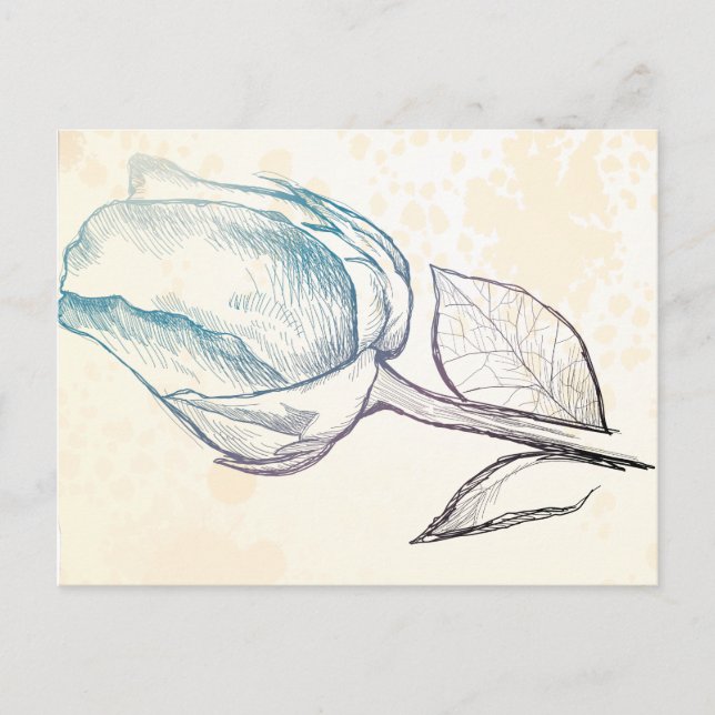 Desenho de um rosa, cartão postal (Frente)