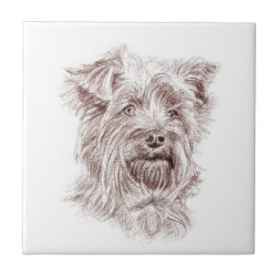 Desenho de Yorkshire Terrier