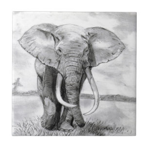 desenho do elefante africano no design do lápis