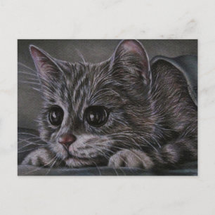 Desenho do Kitten no Cartão Postal