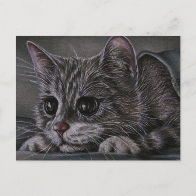 Desenho do Kitten no Cartão Postal (Frente)