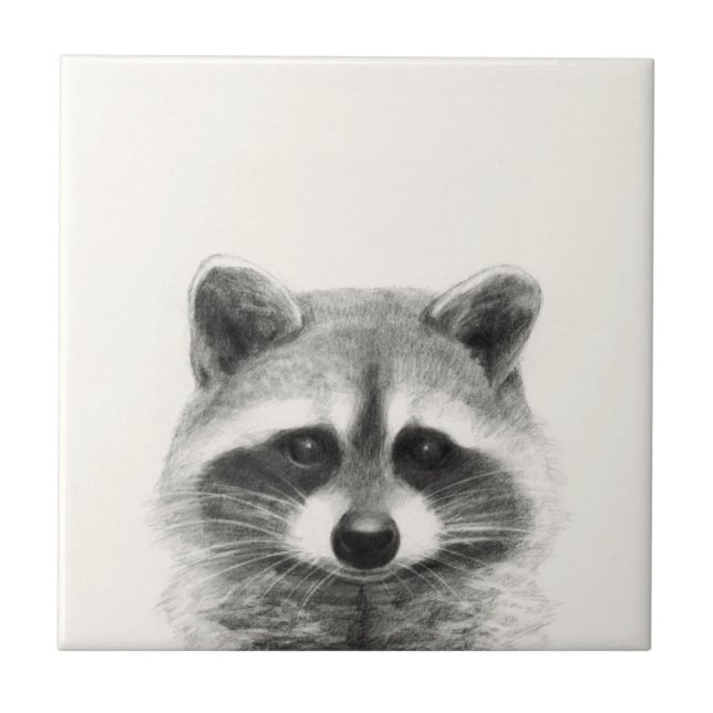 Desenho do Lápis de Raccoon (Frente)