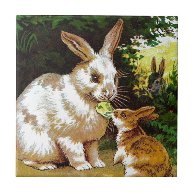 Desenho do vintage: Coelhos pequenos (Frente)