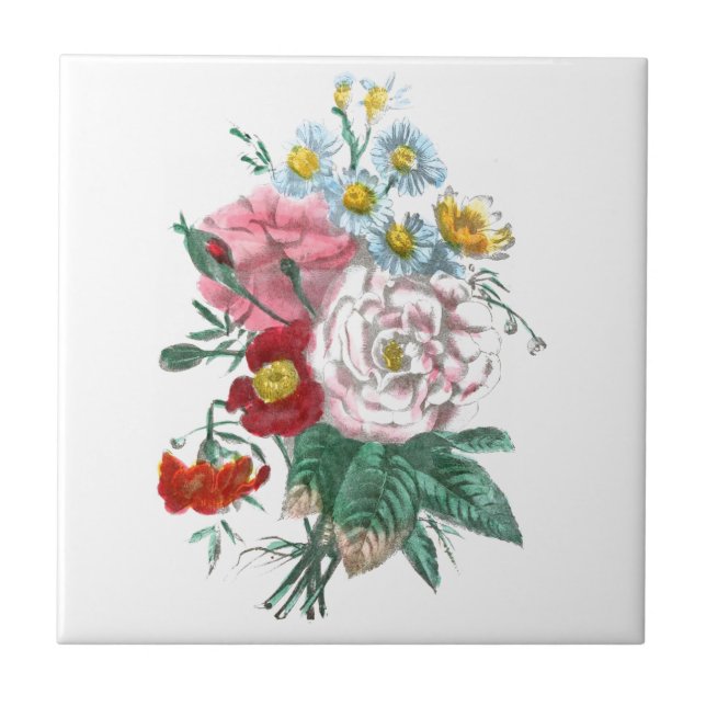 Desenho do vintage: Rosas de Bengal (Frente)