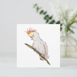 Desenho em aquarela de um papagaio-católico