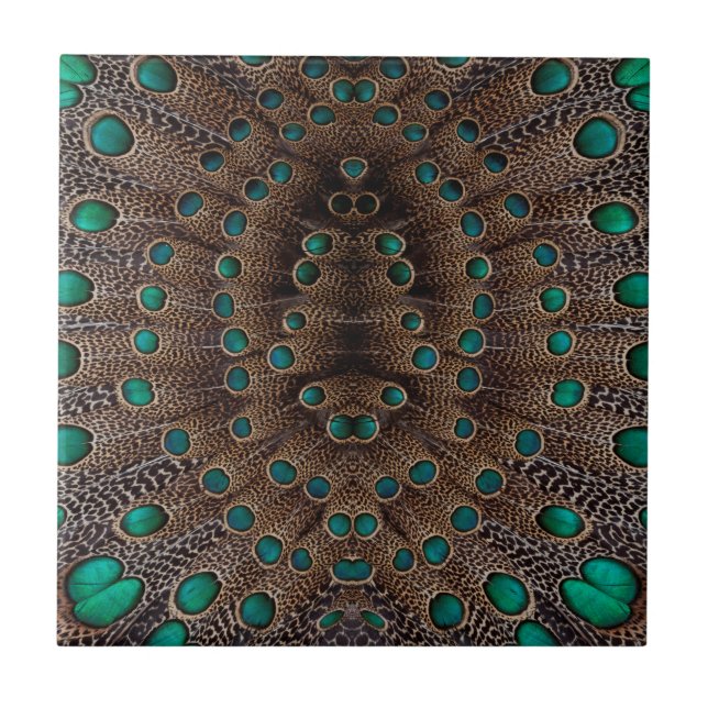 Desenho Fractal de Pena de Faisão (Frente)