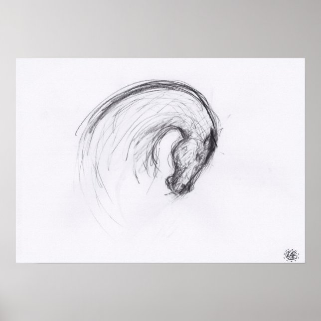 Desenho Original 2 Ano Horso Poster (Frente)