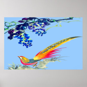 Desenho poster de Pheasant Permanente 3