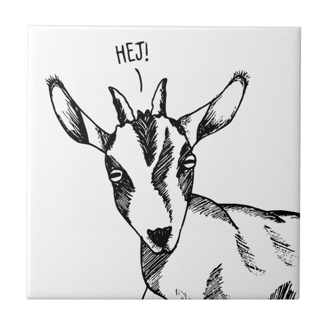 Desenho preto-e-branco de cabra pequena dizendo "H (Frente)