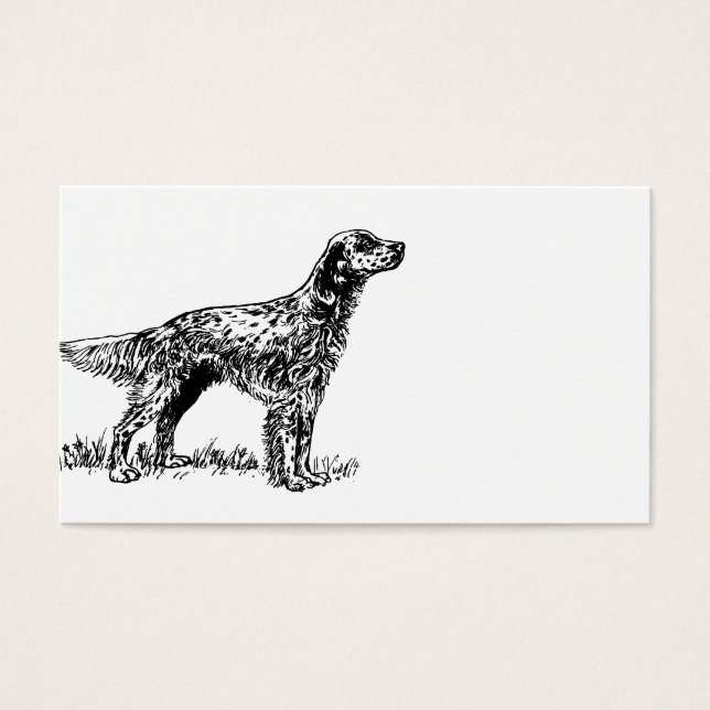 desenho setter inglês.png (Frente)