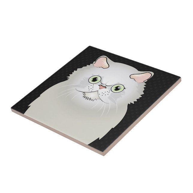 Desenho de gato siamês colorido, desenho de gato gatinho dos desenhos  animados, desenhos ani…