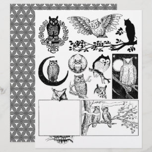 Desenhos de corujas de linhagem branca e preta