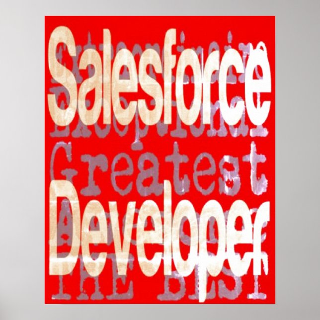 Desenvolvedor do Salesforce Extraordinaire Poster (Frente)