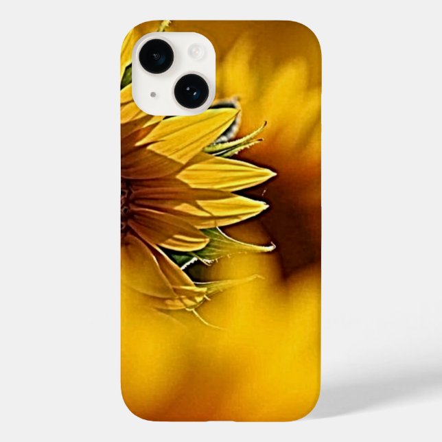 Desert Blooms (Verso)