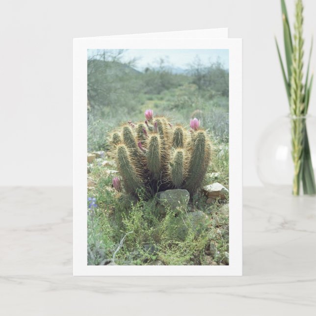 Desert Blooms Cactus Saudando Cartões ou Note Card (Frente)