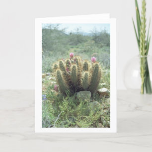 Desert Blooms Cactus Saudando Cartões ou Note Card