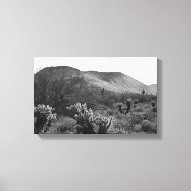 Desert Cactos Saltando Impressões de Arte Fotográf (Frente)