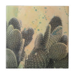Desert Cactus | Frente Verde<br><div class="desc">Desert Cactus | Artista do "Green Splatter": Naomi McCavitt</div>