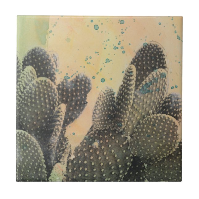 Desert Cactus | Frente Verde (Frente)