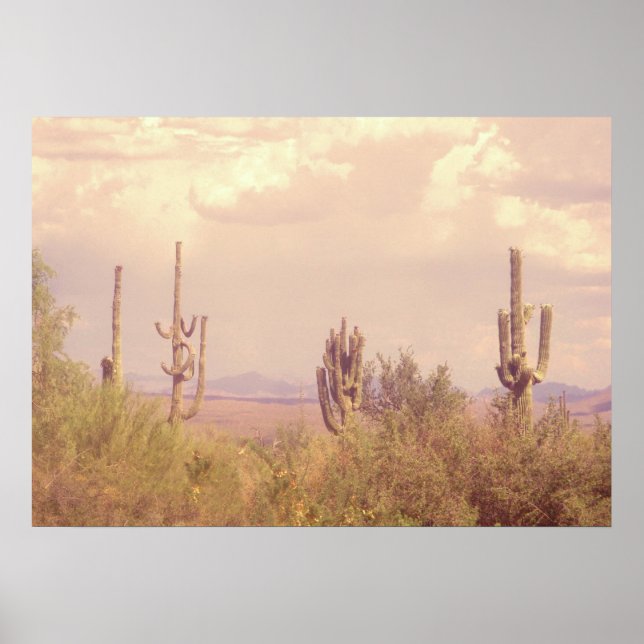 Desert Dream poster (Frente)