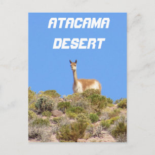 Deserto de Atacama Vicuña, Chile Cartão Postal - V