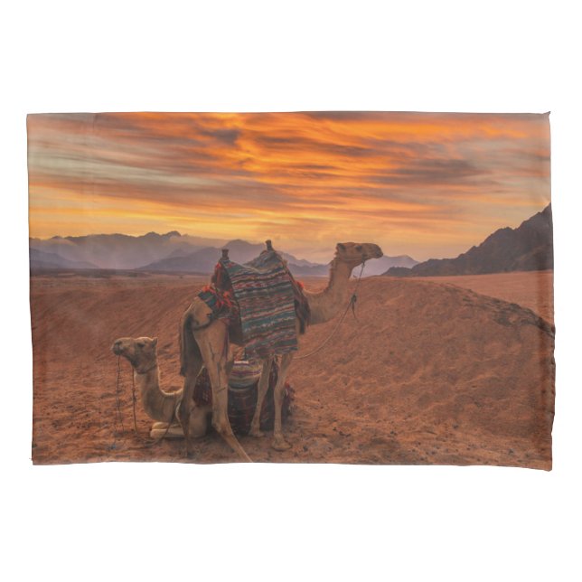 Desertos | Bactrian Camel Egypt Sand Dune (Frente)
