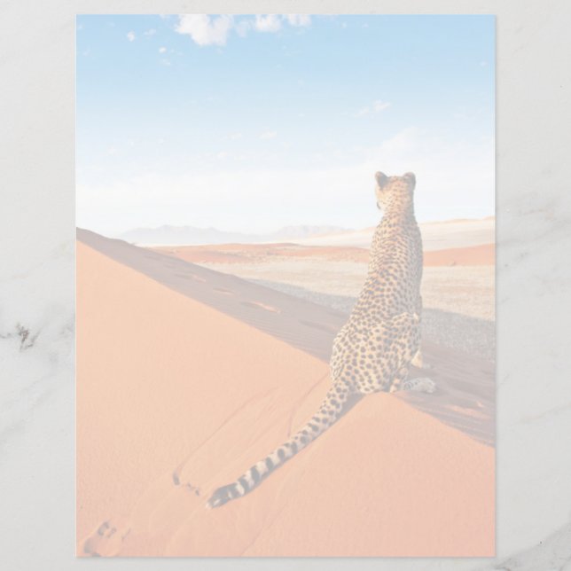 Desertos | Deserto Cheetah Savannah (Frente)