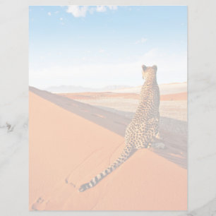 Desertos Deserto Cheetah Savannah