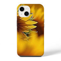 Desertos em Flor