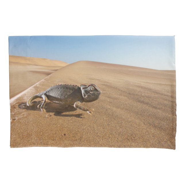 Desertos | Namaqua Chameleon no Deserto (Frente)