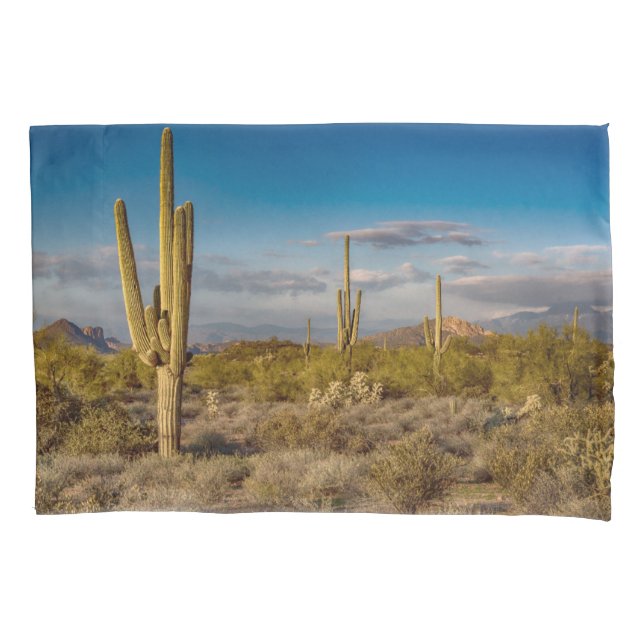 Desertos | Superstições, Arizona (Frente)