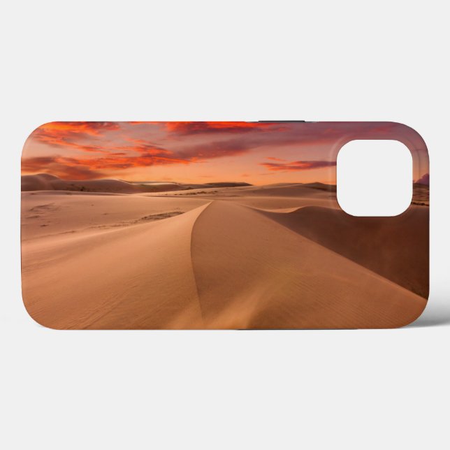 Deserts | Desert United Arab Emirates (Verso (horizontal))