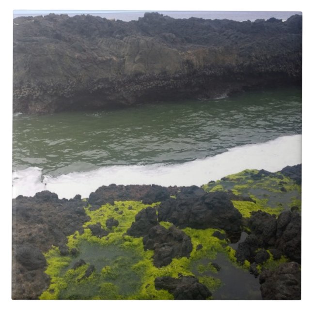 Desfiladeiro de Cook, Cape Perpetua, OR (Frente)