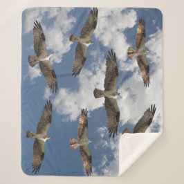 Desfile de Osprey no céu cobertor de velo Sherpa