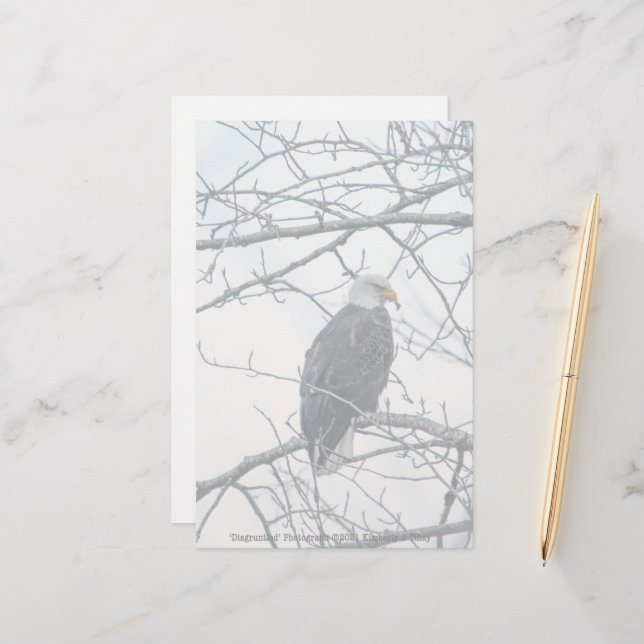 Desgraçado (Frente/Verso In Situ)