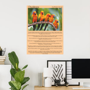 Desiderata alaranjados e posters amarelos verdes