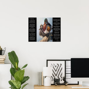 DESIDERATA dois posters do pato