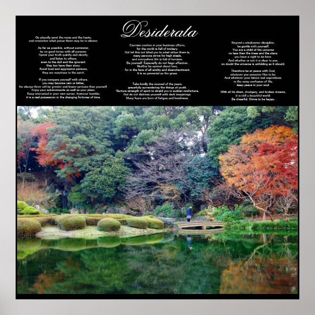 desiderata inspirational poster DE 8,99 (Frente)