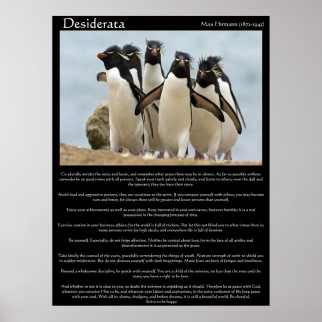 Desiderata Penguins Posters Andando (Frente)