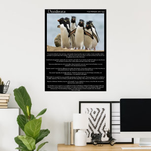 Desiderata Penguins Posters Andando