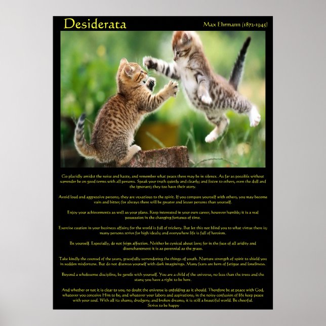 Desiderata Posters de combate de gatos (Frente)